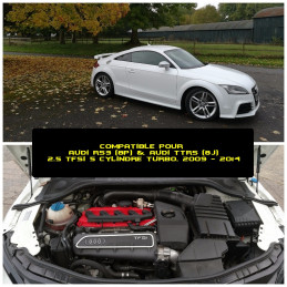 Audi TTRS (8J), RS3(8P) - 2L5 TFSI (CEPA/CEPD) - Adminission - PRORAM - Swapland 2