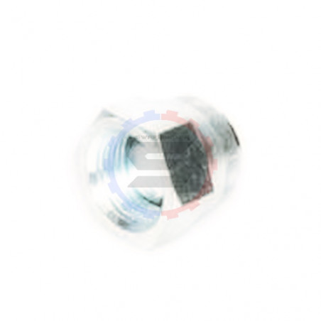 Bouchon acier pas métrique M18 X 1,5 - SWAPLAND -