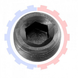 Bouchon NPT sans tête 1’’ NPT - SWAPLAND -