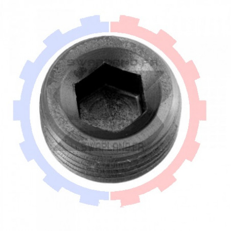 Bouchon NPT sans tête 1/8’’ NPT la paire - SWAPLAND -