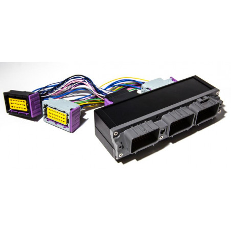 Adaptateur Interconnector 2jz (Supra MK4) P&P - SWAPLAND