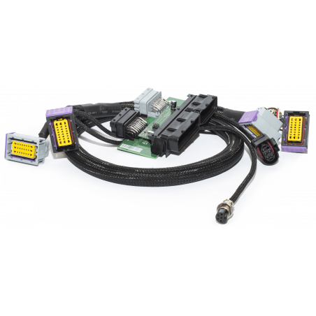 Adaptateur Interconnector Fiat 500Abarth P&P(harness & DBW) - SWAPLAND