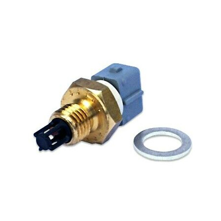 IAT Sensor