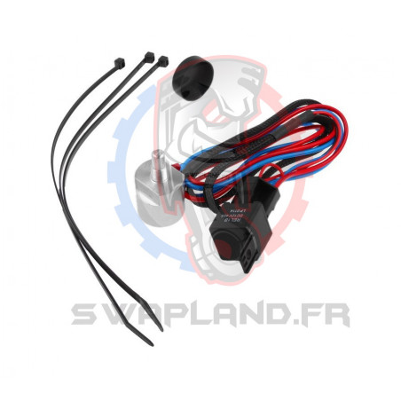 Contrôleur de ventilateur électronique pour Sonde 1/8 NPT filetage extérieur - SWAPLAND -