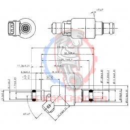 Injecteur Racetronix 220cc - Swapland 2