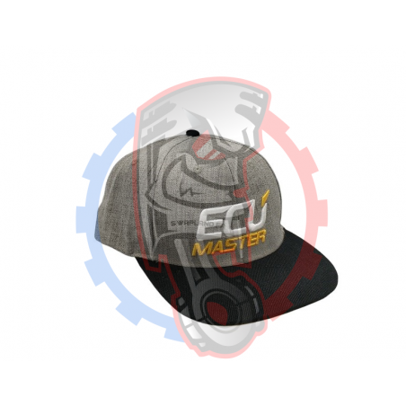 Casquette Ecumaster grise - Swapland -