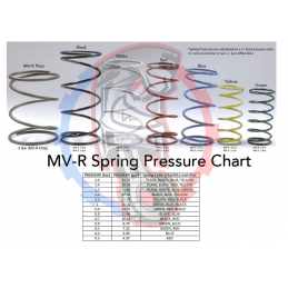 Ressort pour Wastegate Tial 2