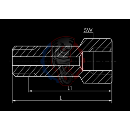 Rallonge M10x1 long 50 mm- SWAPLAND - 2