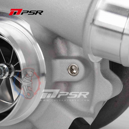 Turbo Pulsar sur roulement PTG 4849G - Swapland -
