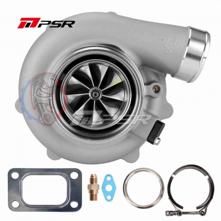 Turbo Pulsar sur roulement PTG 6862G - Swapland -
