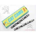 arbre a came cat cams peugeot citroën I-4cyl 2.0L 16v DOHC (DTH/DTH) XU10J4R - swapland -
