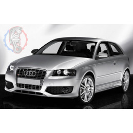 Audi S3 MK2 8P (2006-2012)