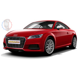 Audi TT MK3 FV/8S (2014 ON)