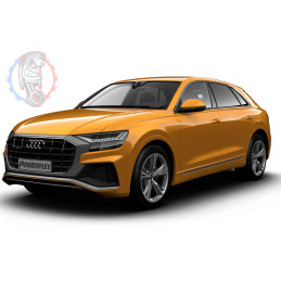 Audi Q8 (2019 - ON)