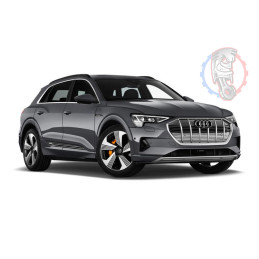 Audi E-TRON (2019 - )