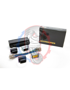 Adaptateur Interconnector BMW m50 – Vanos (DME 3,1) - SWAPLAND