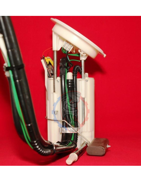 Pompe à carburant gros débit Walbro Stage 2 BMW 535 E6X -Swapland-