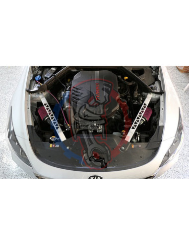 BMS Kit 450ch pour Kia Stinger / Hyundai Genesis -Swapland-
