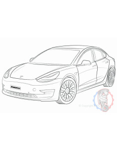 Silent bloc renforcé TESLA MODEL 3 (2017 - 2023) Powerflex - SWAPLAND -