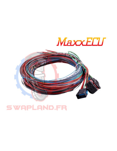 Faisceau Maxxecu street