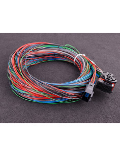 Faisceau Maxxecu street 2