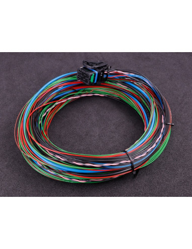 Maxxecu Pro faisceau 4 (extra in/out, can 2 et cliquetis)