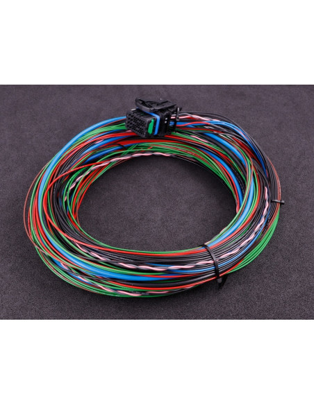 Maxxecu Pro faisceau 4 (extra in/out, can 2 et cliquetis)