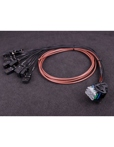 Maxxecu PRO faisceau 2 (EGT)