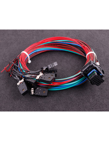 Maxxecu Race faisceau 2 (EGT, Papillon, extra)