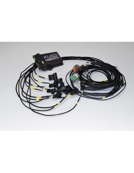 Calculateur programmable e-RACE Black – Gestion moteur compétition