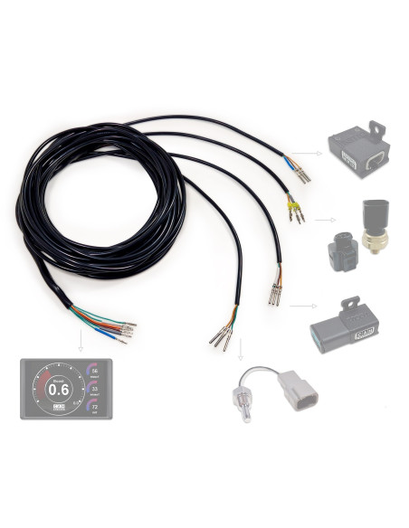 Faisceau universel pour capteurs analogiques Canchecked ANC04