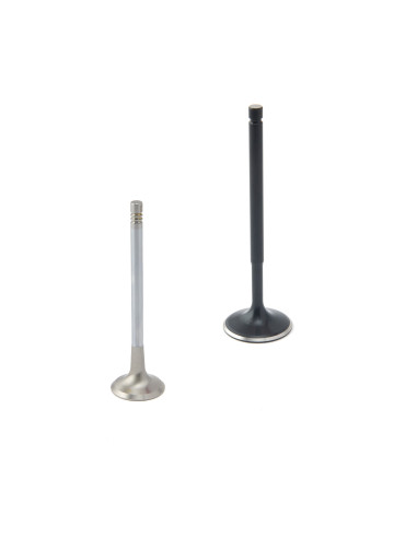 Soupapes ZRP VAG 4.2L R8 32v 8v FSI 