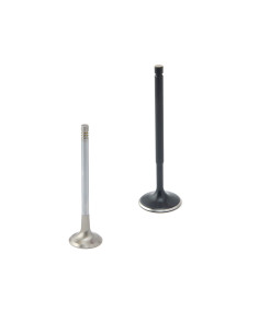 Soupapes ZRP VAG 3.0L Turbo RS4, RS5 (EA839) 