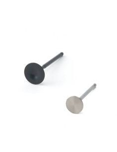 Soupapes ZRP BMW 2.0L M52  2