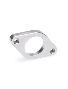 Bride de sortie de wastegate inox Tial F38 
