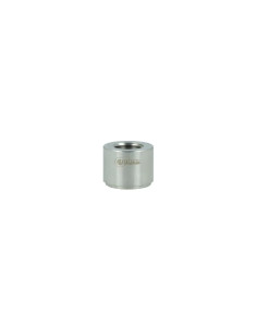 Insert inox pour sonde NPT 2