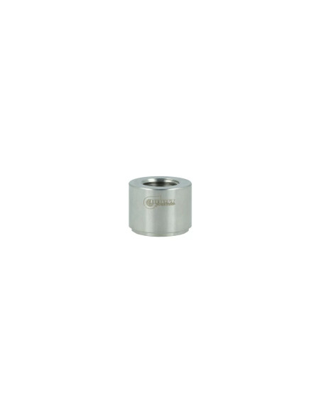 Insert inox pour sonde NPT