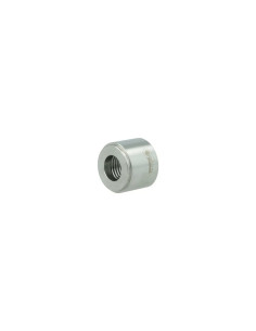 Insert inox pour sonde NPT